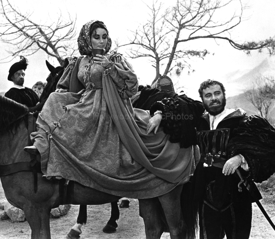 replace The Taming of the Shrew 1967 WM.jpg